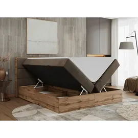 MKS Meble MKS Boxbett, Braun Velvet - Braun