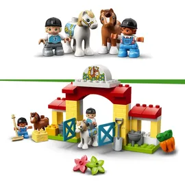 LEGO Duplo Pferdestall und Ponypflege 10951