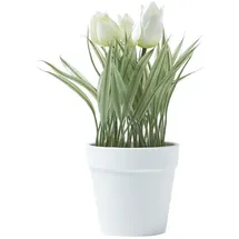 Homescapes Kunstblumen, Tulpen weiß im Blumentopf, 22 cm,
