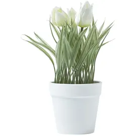 Homescapes Kunstblumen, Tulpen weiß im Blumentopf, 22 cm,