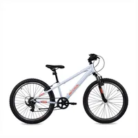 coolmobility gmbh S'COOL Xroc 24 Zoll grau/orange