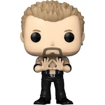 Funko WWE Diamond Dallas Page Sammelfigur 9 cm