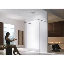 Glaszentrum Hagen 118x200cm Freistehende Dusche 2x Rundhalter