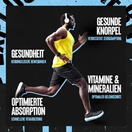 Universal Nutrition Animal Flex Blaue Himbeere Pulver 348 g