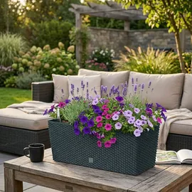 Prosperplast Rato Case 51,4 x 19 x 18,65 cm Anthrazit