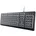 Illuminated Keyboard