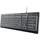 Trust Primo Illuminated Keyboard DE