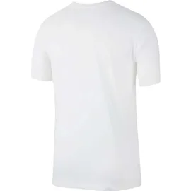 Nike Herren Dri-FIT Shirt (AR6029)
