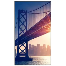 Sharp NEC Display Solutions Sharp MultiSync® ME552 Digital Signage Display 138,8cm (55") Zoll