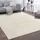 Paco Home Teppich Wohnzimmer Kurzflor Weich rutschfest Modern Einfarbiges Muster Creme, Grösse:240x340 cm