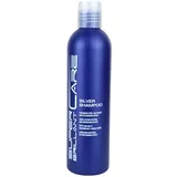 Super Brillant Care HAIR HAUS Super Brillant Care Silver Shampoo 250 ml