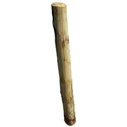 WoodLine Pfahl Kastanie für Einschlagbodenhülsen rund 1,00 m lang,...