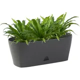 ENGELLAND Blumenkasten 25 x 12 x 12 cm Anthrazit