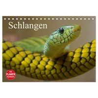 Calvendo Schlangen (Tischkalender 2026 DIN A5 quer), CALVENDO Monatskalender