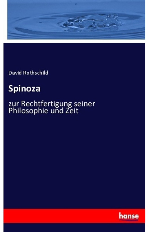 Spinoza - David Rothschild, Kartoniert (TB)