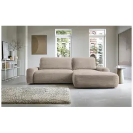 Selsey Ecksofa mit Schlaffunktion Alferia ¦ beige ¦ Maße (cm): B: 264 H: 82