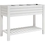 vidaXL Hochbeet 110 x 45 x 79 cm Weiß