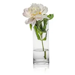 RONA Vase Ambiente transparent