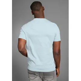 Bruno Banani T-Shirt BRUNO BANANI, Herren, Gr. L (52/54), blau (blau grau), Single Jersey, Obermaterial: 100% Baumwolle, bedruckt, slim fit, Rundhals, Shirts T-Shirt, in schmaler Passform