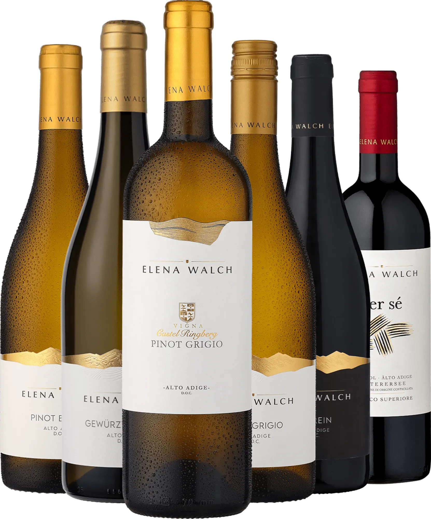 6er-Probierpaket »Elena Walch«