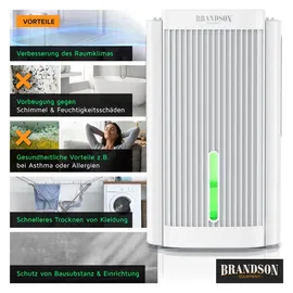 Brandson Luftentfeuchter elektrisch, Raumentfeuchter, klein & leise, Wassertank 2000 ml, für 20 m3 Räume, Luftentfeuchter, Weiss, Schwarz