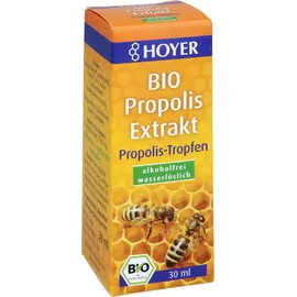 Hoyer GmbH Hoyer Propolis Extrakt Bio alkoholfrei wasserlösl.