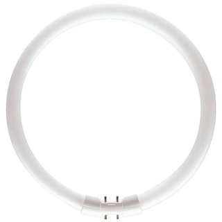 Philips Master TL5 Circular 55W/840 2GX13