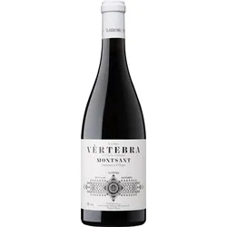 Terroir Al Limit Terroir Sense Fronteres Vertebra de la Figuera 2022 - 14.00 % vol