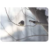 Platzset mit Unterseite aus Kork, kleiner Vogel, Schwarzkopf, Zweig, Tiere, groß, 39,5 x 28,5 cm