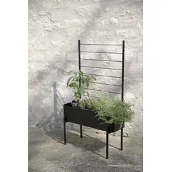 Eva Solo Simply Grow Spalier für Pflanzenbox