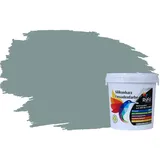 RyFo Colors Fassadenfarbe Silikonharz Fassadenfarbe Fjordgrau 1l, 1 L ca. 6 m2, Wasserabweisend, diffusionsfähig, schützt vor Schmutz, Algen, Pilzen grau