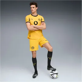 Puma Borussia Dortmund Shorts 2025/26 gelb Herren Gr. L