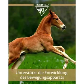 Equistro® Mega Base Junior 1L