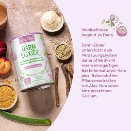 Alpha Foods Darm Elixir Pulver 450 g