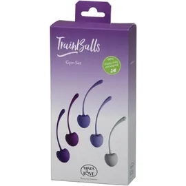 Minds of Love TrainBalls Gym Set