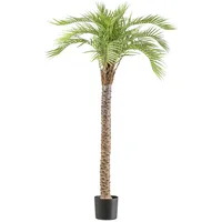Creativ green Kunstpalme CREATIV GREEN "Macauba Palme", grün, H:175cm, Kunststoff, Kunstpflanzen, mit hohem Stamm