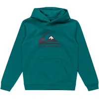 QUIKSILVER Hoodie »Big LOGO grün