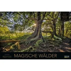Korsch Verlag Magische Wälder 2026 Korsch Verlag