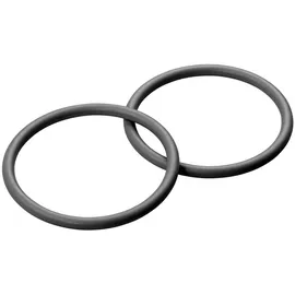 Grünbeck Dichtungssatz für Boxer Feinfilter 1 Zoll O-Ring