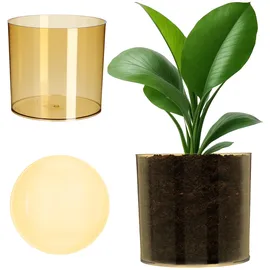 Kadax Ø 12,8 x 11,8 cm Honig