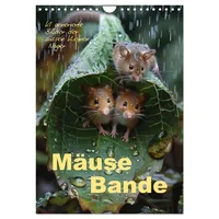 Calvendo Mäusebande (Wandkalender 2026 DIN A4 hoch), CALVENDO Monatskalender