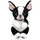 Ty Beanie Bellies Tink black an white Dog 0008421410545 TY