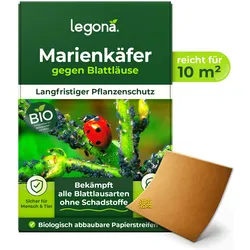 Marienkäferlarven gegen Blattläuse