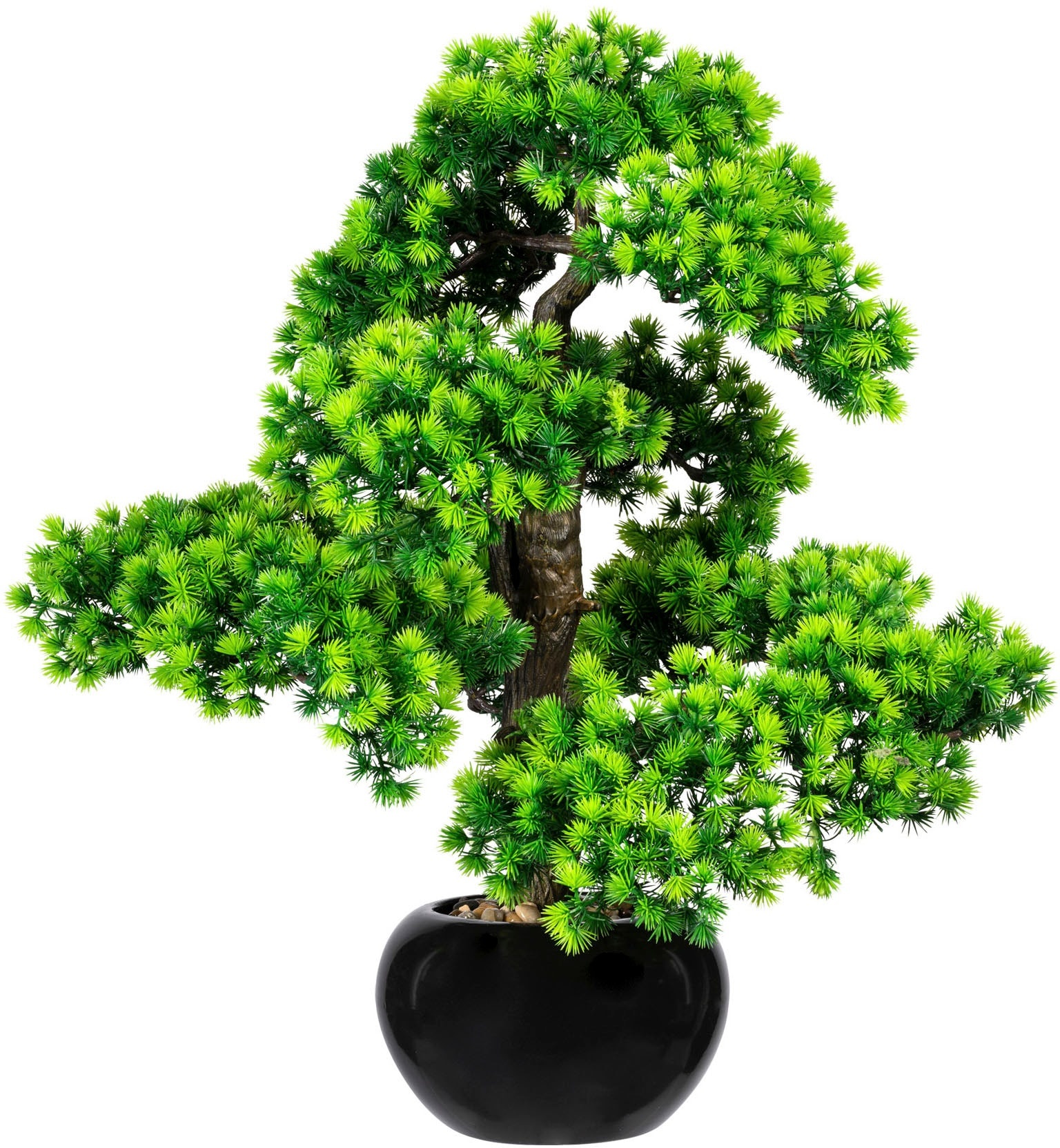 Creativ green Kunstbonsai »Bonsai Lärche« Creativ green grün