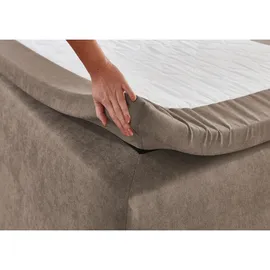 SUN GARDEN Boxspringbett Jeff taupe - grau