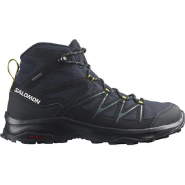Salomon DAINTREE MID GTX
