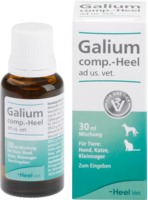 GALIUM COMP.-Heel ad us.vet.Tropfen 30 ml