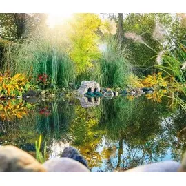 OASE Druckfilter FiltoClear Set 19000 OC