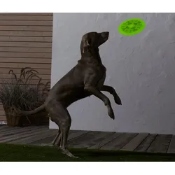 Tchibo - Hunde-Wurfscheibe - gelb