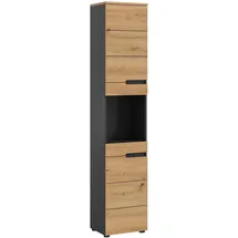 xonox.home Canu Hochschrank 38x193x34 cm Eiche/Grau